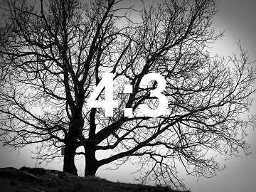 test alder gallery
