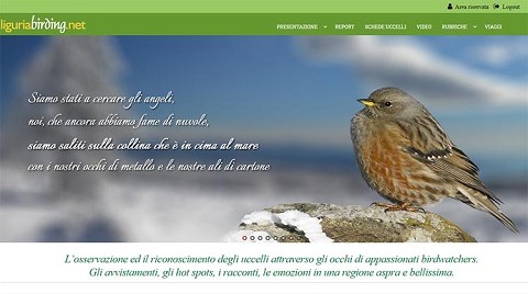 Liguria Birding