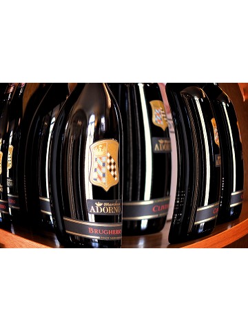 Pinot Nero Oltrepo Pavese