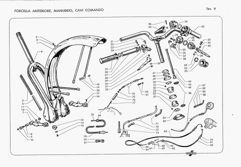 Lambrettino 48